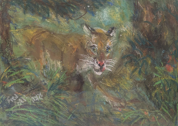 Fred Adell - Wildlife Artist Cats (wild) Mixed Media (Ink, watercolor, tempera, pastels) on watercolor paper