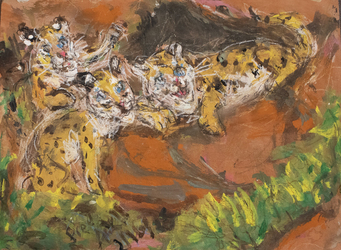 Fred Adell - Wildlife Artist Cats (wild)  Mixed Media (Ink, watercolor, tempera) on primed (gesso) cardboard.