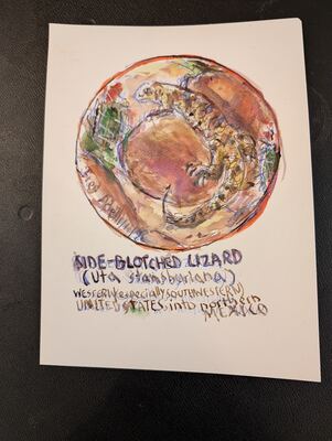 Fred Adell - Wildlife Artist Lizards Mixed Media (Ink, watercolor, tempera, color pencils) on watercolor paper