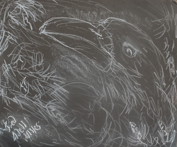 Fred Adell - Wildlife Artist Works on Paper White marker on black cardboard.