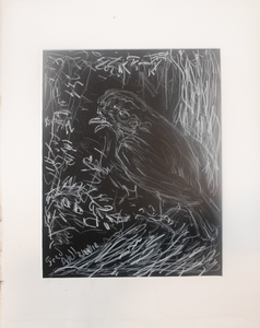 Fred Adell - Wildlife Artist Works on Paper White marker on black cardboard.