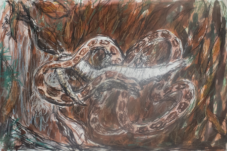 Fred Adell - Wildlife Artist Snakes Mixed Media (Ink, watercolor, tempera) on illustration board