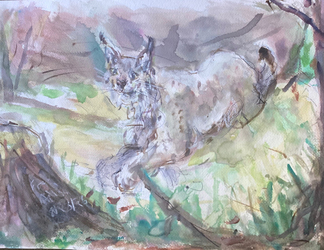 Fred Adell - Wildlife Artist Cats (wild) watercolor and ink on watercolor paper