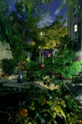 George Hirose Midnight in the People's Garden: Night Photos from NYC Community Gardens (click on image to enlarge)