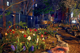 George Hirose Midnight in the People's Garden: Night Photos from NYC Community Gardens (click on images to enlarge)
