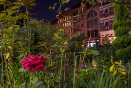 George Hirose Midnight in the People's Garden: Night Photos from NYC Community Gardens 