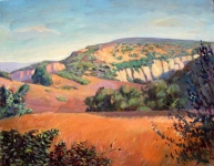 GEORGE TAPLEY (home)          Clark Park & Coyote Hills oil/canvas