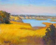  GEORGE TAPLEY (home)          Back Bay & Newport Beach oil on panel