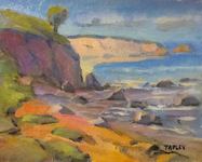  GEORGE TAPLEY (home)          Seascapes and Beach Scenes oil on  canvas