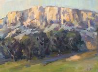  GEORGE TAPLEY (home)          Clark Park & Coyote Hills oil/panel