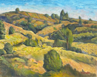  GEORGE TAPLEY (home)          Clark Park & Coyote Hills oil/canvas