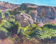  GEORGE TAPLEY (home)          Clark Park & Coyote Hills oil/panel