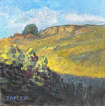  GEORGE TAPLEY (home)          Clark Park & Coyote Hills oil/canvas