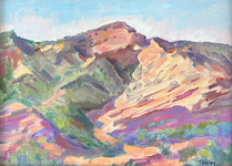  GEORGE TAPLEY (home)          Clark Park & Coyote Hills oil/canvas