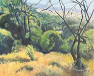  GEORGE TAPLEY (home)          Clark Park & Coyote Hills oil/canvas