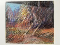  GEORGE TAPLEY (home)          Abstraction Pastels