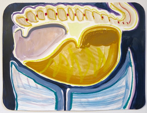 Live Liver (study) Recent Paintings guache and pastel on paper