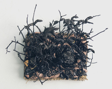 Gilda Pervin Wall Sculpture 1 Burlap, cement, acrylic paint, found objects, twigs, seed pods,coal, grit particles,
