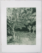 Gilda Pervin Prints Itaglio,  Green Mix on Rives BFK