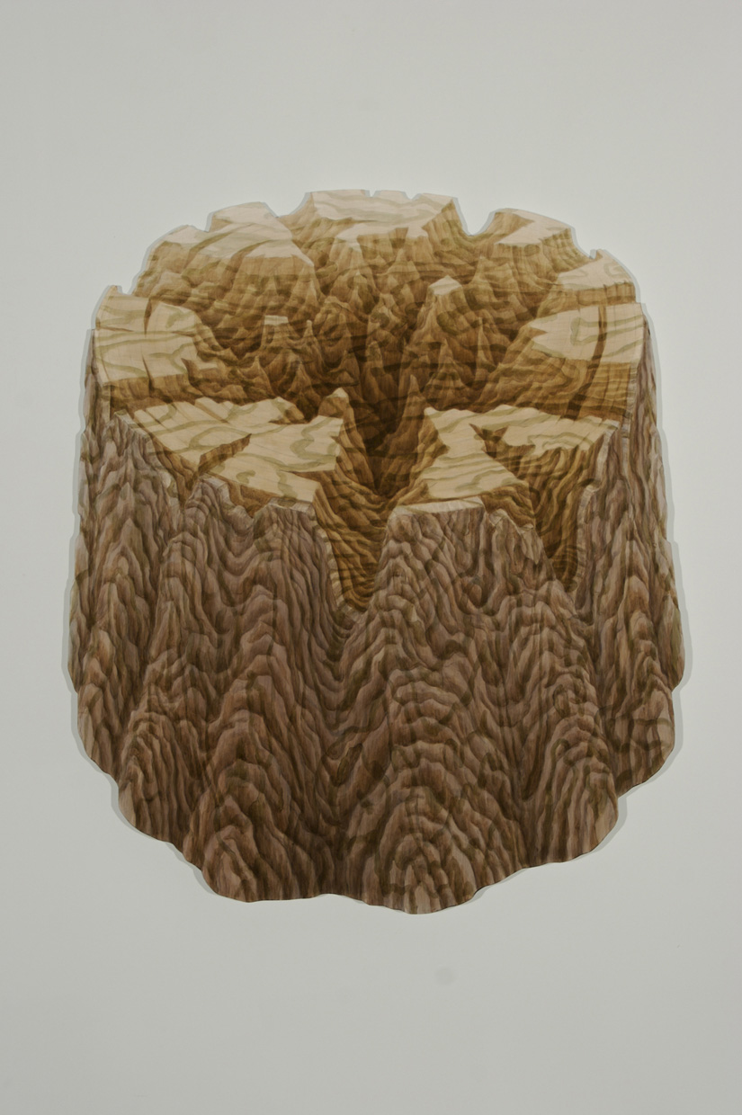 Gina Ruggeri Works 2002–2015 Acrylic on plywood cut-out