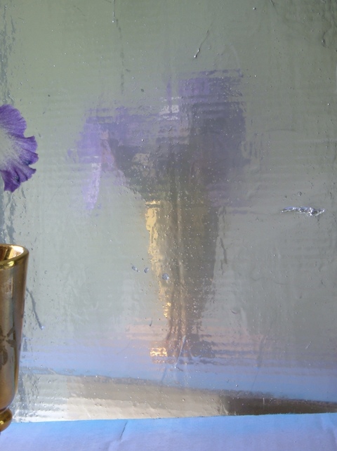 Guy Romagna Photographs- Flowers 