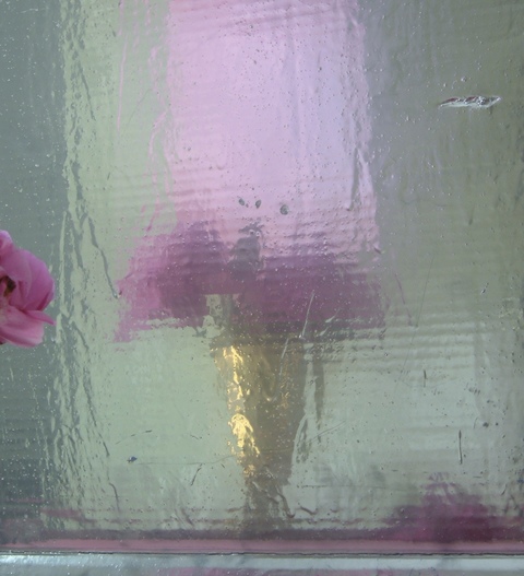 Guy Romagna Photographs- Flowers 