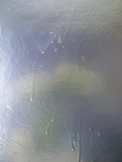 Guy Romagna Photographs- Flowers photograph