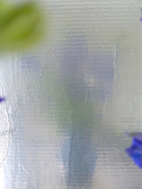 Guy Romagna Photographs- Flowers photograph