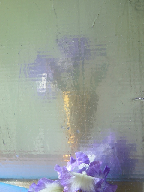 Guy Romagna Photographs- Flowers photograph