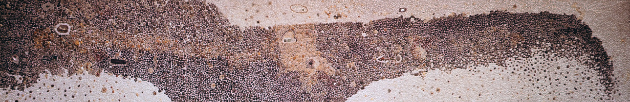 Harry Powers Earthscape Beach pebble mosaic, private residence