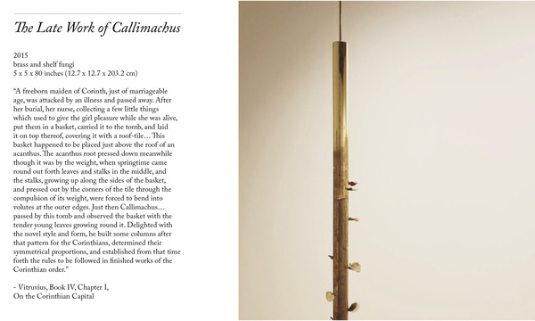 Heather Scott Peterson The Late Work of Callimachus 