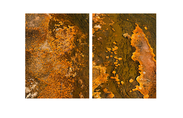 Heather Scott Peterson Etchings and Accretions 