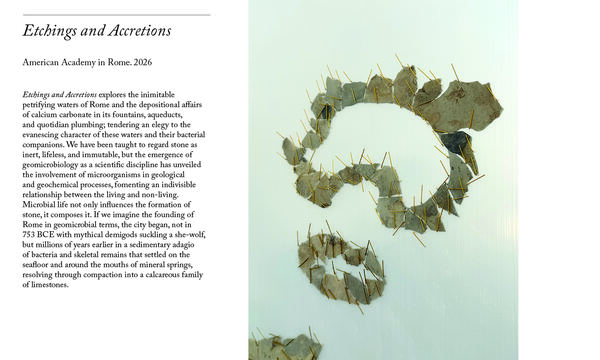 Heather Scott Peterson Etchings and Accretions 