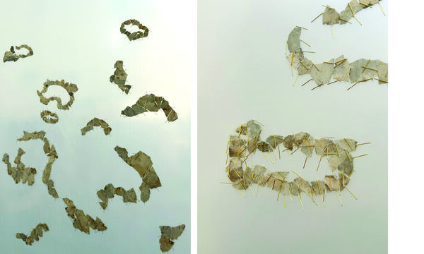 Heather Scott Peterson Etchings and Accretions 