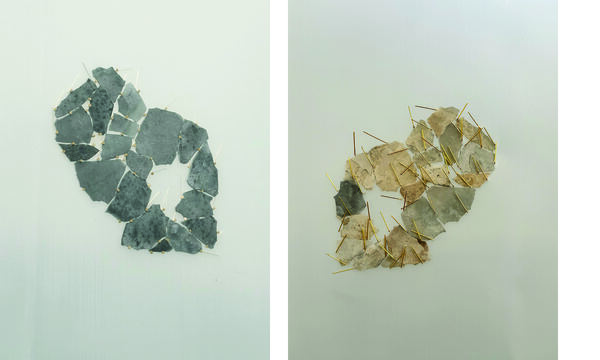 Heather Scott Peterson Etchings and Accretions 