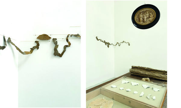 Heather Scott Peterson Etchings and Accretions 