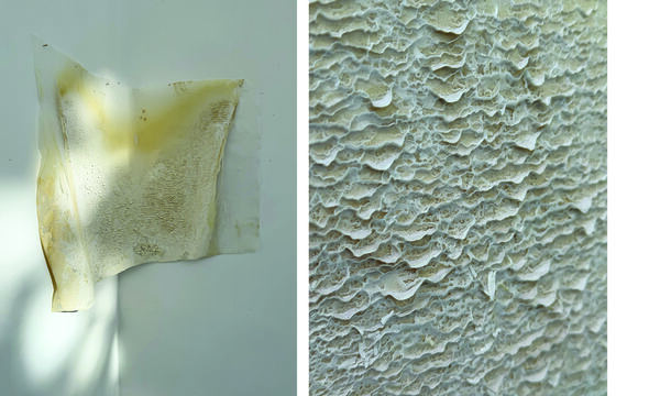 Heather Scott Peterson Etchings and Accretions 