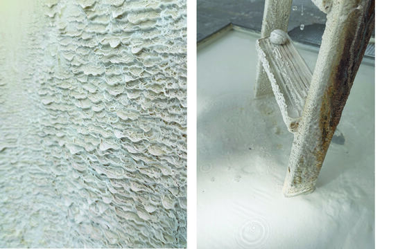 Heather Scott Peterson Etchings and Accretions 