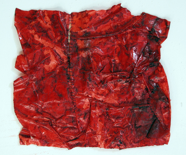 HEIDI BARKUN  Oil paint, thread on vellum