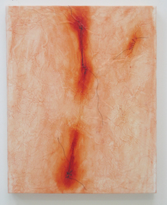 HEIDI BARKUN 'Tis but a flesh wound Oil paint and thread on Terraskin paper, mounted on canvas