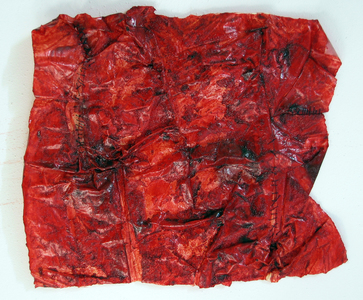 HEIDI BARKUN Remnants Oil paint, thread on vellum