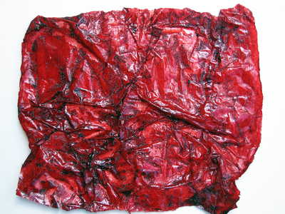 HEIDI BARKUN Remnants Oil paint, thread on vellum