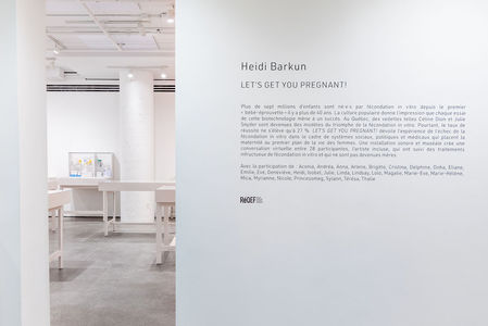 HEIDI BARKUN exhibition 6-channel soundtrack (5 hrs 54 min), 3 armchairs, 4 chairs, carpet, coffee table, lamp, drapes, teacart, plant, 3 x 2 speakers, 16 display cases, 16 place cards, medical and personal artefacts