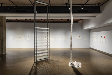 HEIDI BARKUN Les engendrements [Galerie de l'Univerisité de Montréal, Jan 19 - April 6, 2024] 1800 test tubes, 900 needles, 62 bell jars, plexiglass and steel shelves, steel bars, thread 