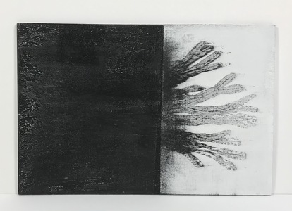 Helen Ireland Seaweed prints 2018/19 Ink on paper