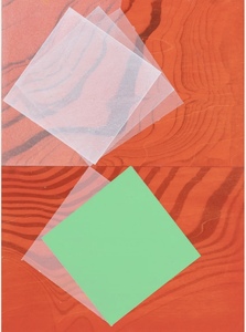 Helen Ireland paintings Acrylic, ink on Japanese ply