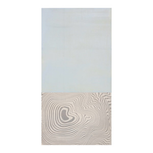 Helen Ireland paintings Acrylic, ink & pencil on Japanese ply