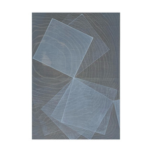 Helen Ireland paintings Acrylic on Japanese ply 