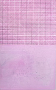 Helen Ireland paintings Acrylic, ink on Japanese ply