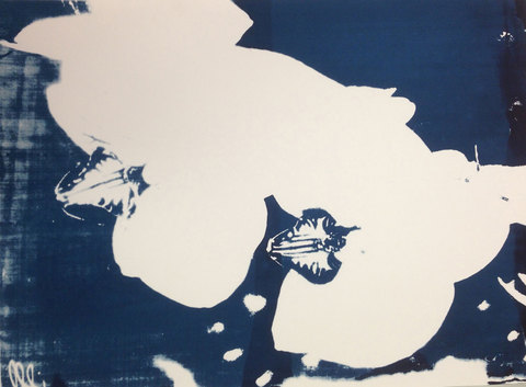 Silkscreen Workshop at Hirst Printmaking Silkscreen Workshop